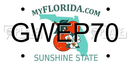 GWEP70 Florida License Plate