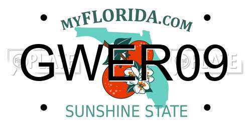 GWER09 Florida License Plate