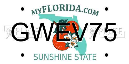 GWEV75 Florida License Plate