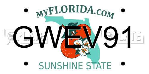 GWEV91 Florida License Plate