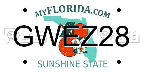 GWEZ28 Florida License Plate