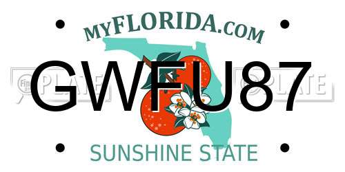 GWFU87 Florida License Plate