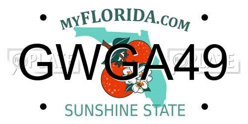 GWGA49 Florida License Plate