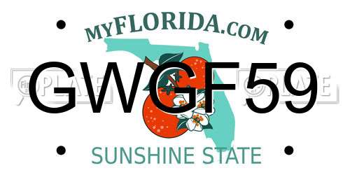 GWGF59 Florida License Plate