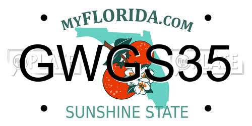 GWGS35 Florida License Plate