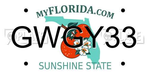 GWGY33 Florida License Plate