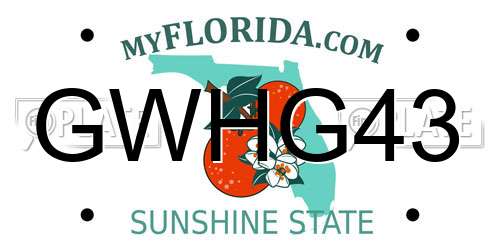 GWHG43 Florida License Plate