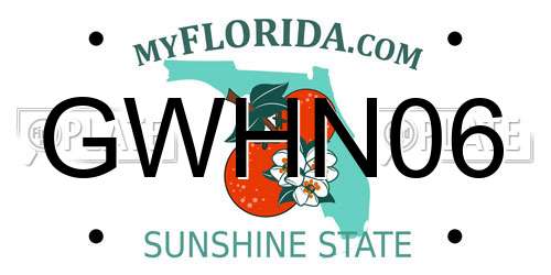 GWHN06 Florida License Plate