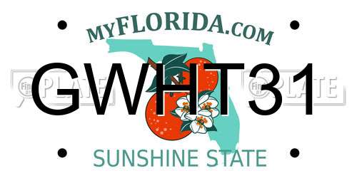 GWHT31 Florida License Plate
