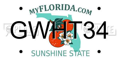 GWHT34 Florida License Plate