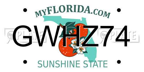 GWHZ74 Florida License Plate