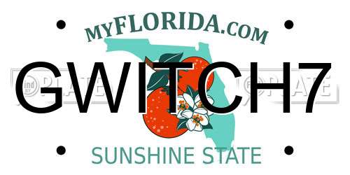 GWITCH7 Florida License Plate
