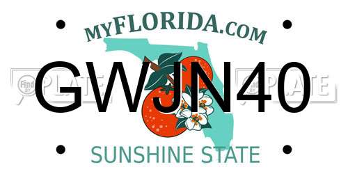GWJN40 Florida License Plate