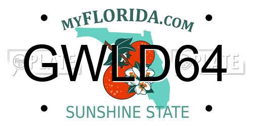 GWLD64 Florida License Plate