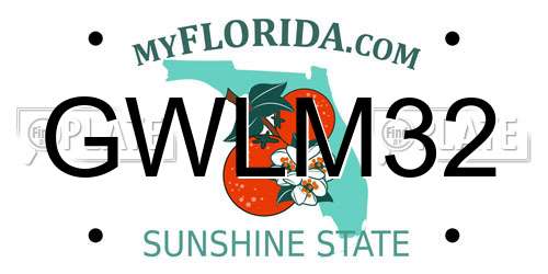 GWLM32 Florida License Plate