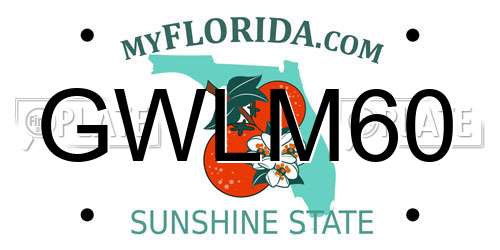 GWLM60 Florida License Plate