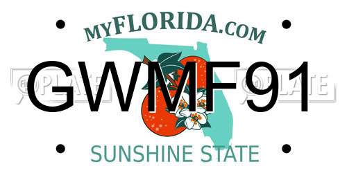 GWMF91 Florida License Plate