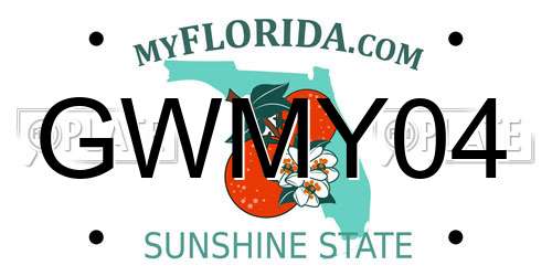 GWMY04 Florida License Plate