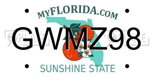GWMZ98 Florida License Plate