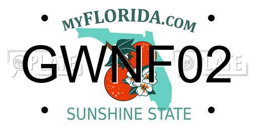 GWNF02 Florida License Plate