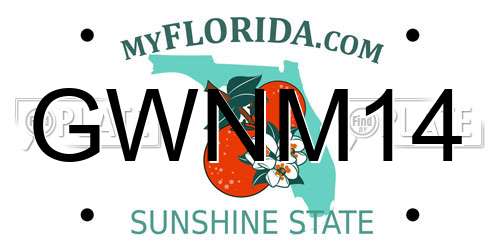 GWNM14 Florida License Plate