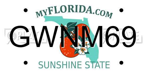 GWNM69 Florida License Plate