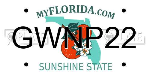 GWNP22 Florida License Plate