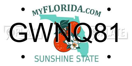 GWNQ81 Florida License Plate