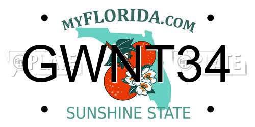GWNT34 Florida License Plate