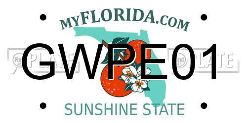 GWPE01 Florida License Plate