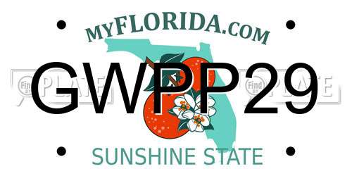 GWPP29 Florida License Plate