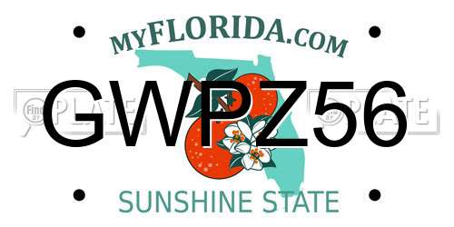 GWPZ56 Florida License Plate