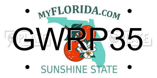 GWRP35 Florida License Plate