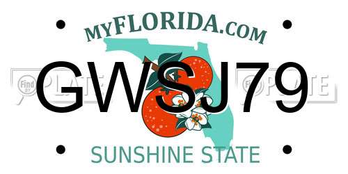 GWSJ79 Florida License Plate