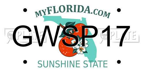 GWSP17 Florida License Plate