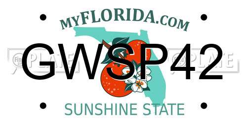 GWSP42 Florida License Plate