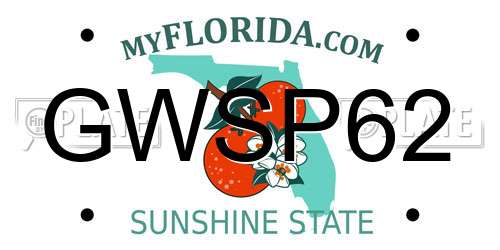 GWSP62 Florida License Plate