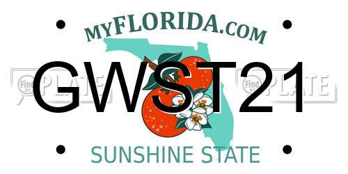 GWST21 Florida License Plate