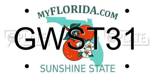 GWST31 Florida License Plate