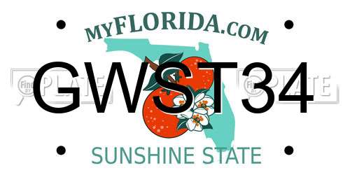 GWST34 Florida License Plate