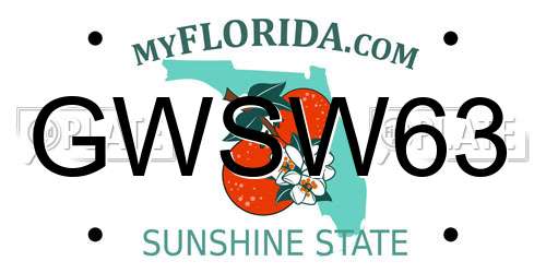 GWSW63 Florida License Plate