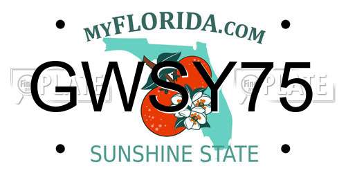 GWSY75 Florida License Plate