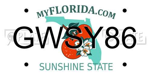 GWSY86 Florida License Plate