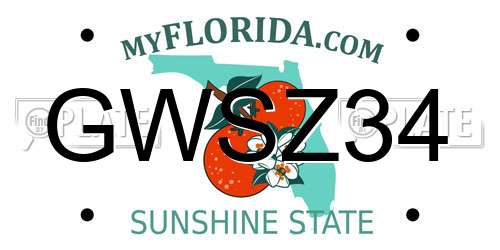 GWSZ34 Florida License Plate