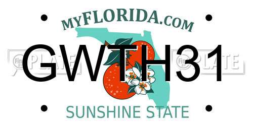 GWTH31 Florida License Plate