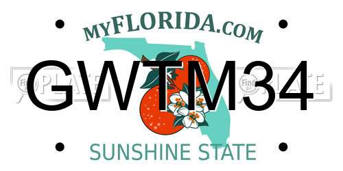 GWTM34 Florida License Plate