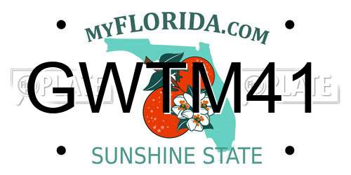 GWTM41 Florida License Plate