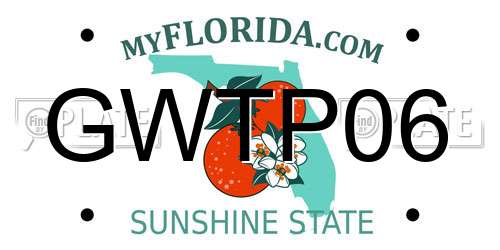 GWTP06 Florida License Plate