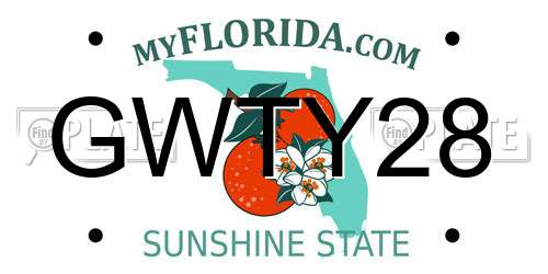 GWTY28 Florida License Plate