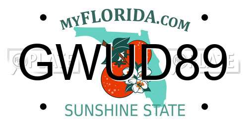GWUD89 Florida License Plate